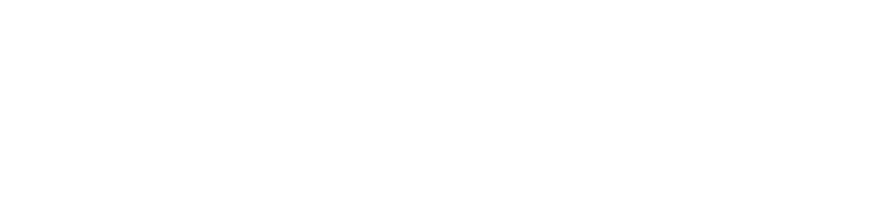 Logo Bruno Durson